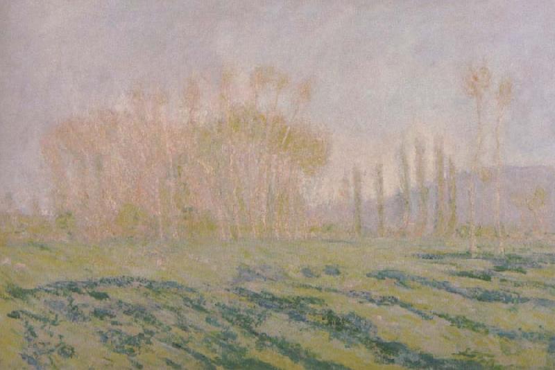 Claude Monet Meadow with Poplars oil painting image
